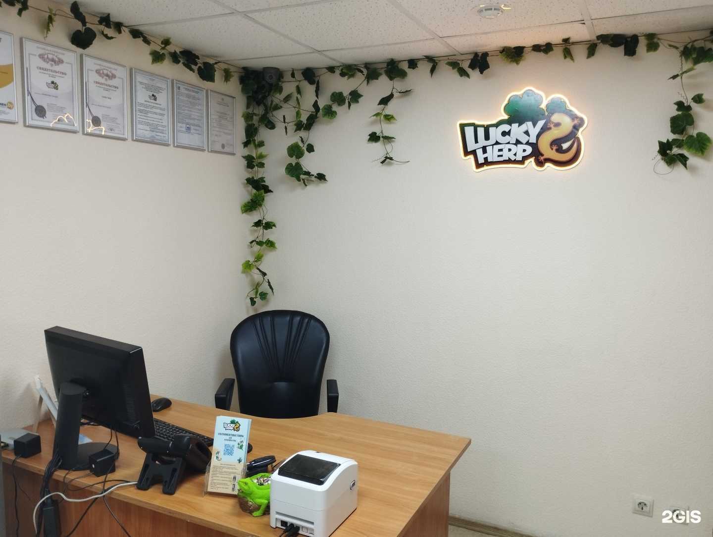 Отзывы на компанию Lucky Herp в Новосибирске c фото