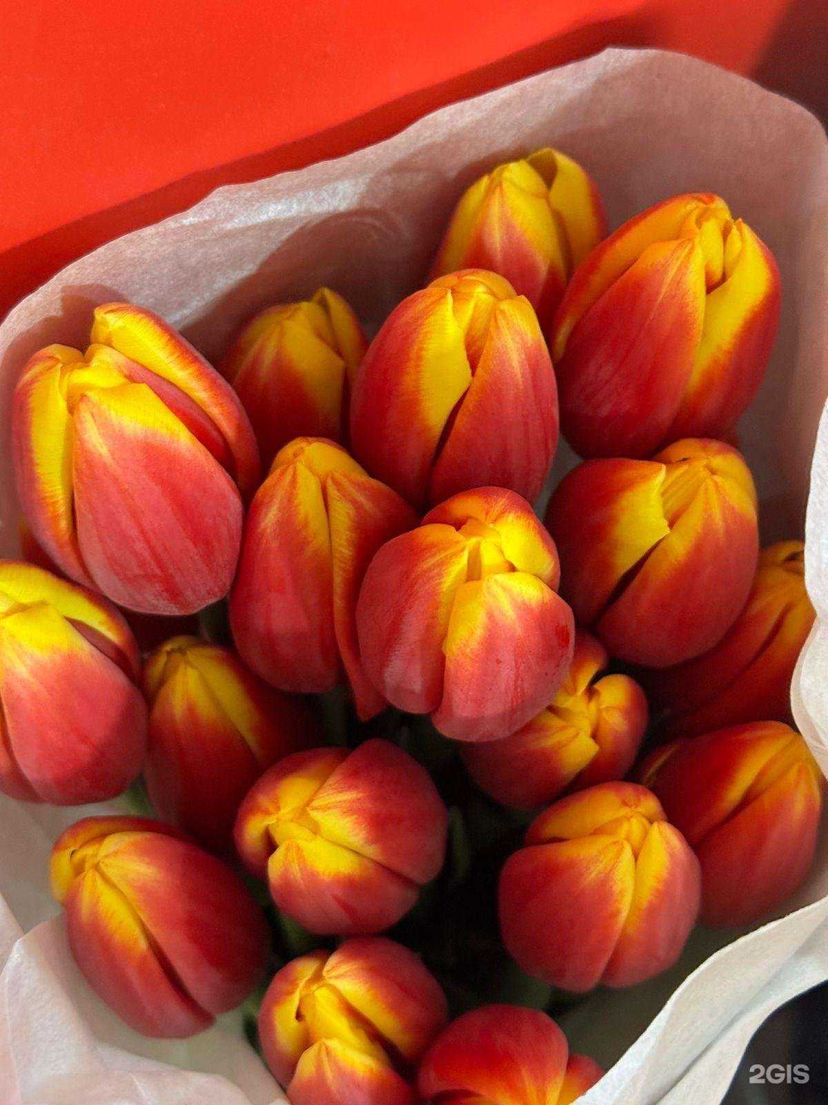 Отзывы на компанию Kamelia_flowers в г. Пятигорск c фото