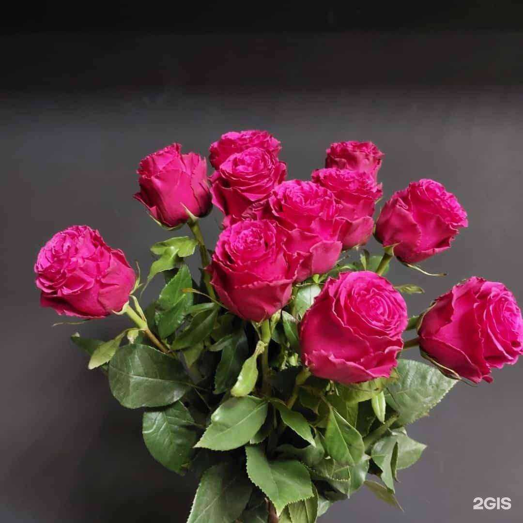 Отзывы на компанию Мила в г. Якутск c фото