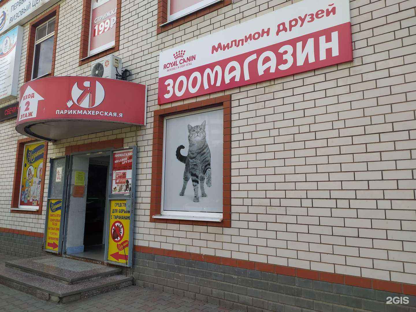 Отзывы на компанию Миллион друзей в г. Волгодонск c фото
