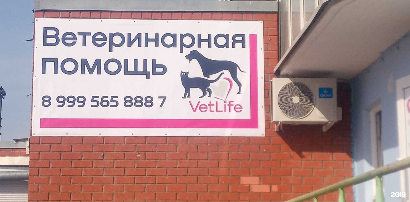 Отзывы на компанию VetLife в Перми c фото