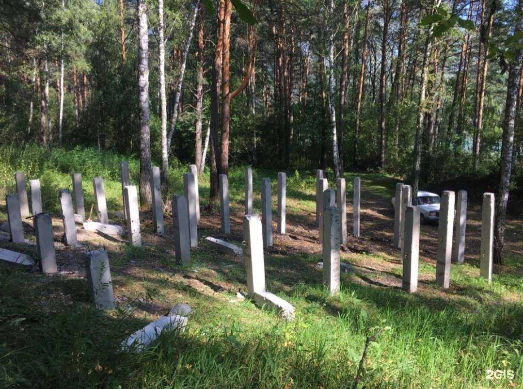 Отзывы на компанию Астрой-Бийск в Бийске c фото