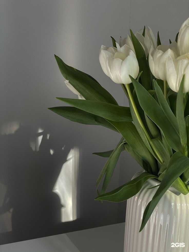 Отзывы на компанию Nails в г. Самара c фото