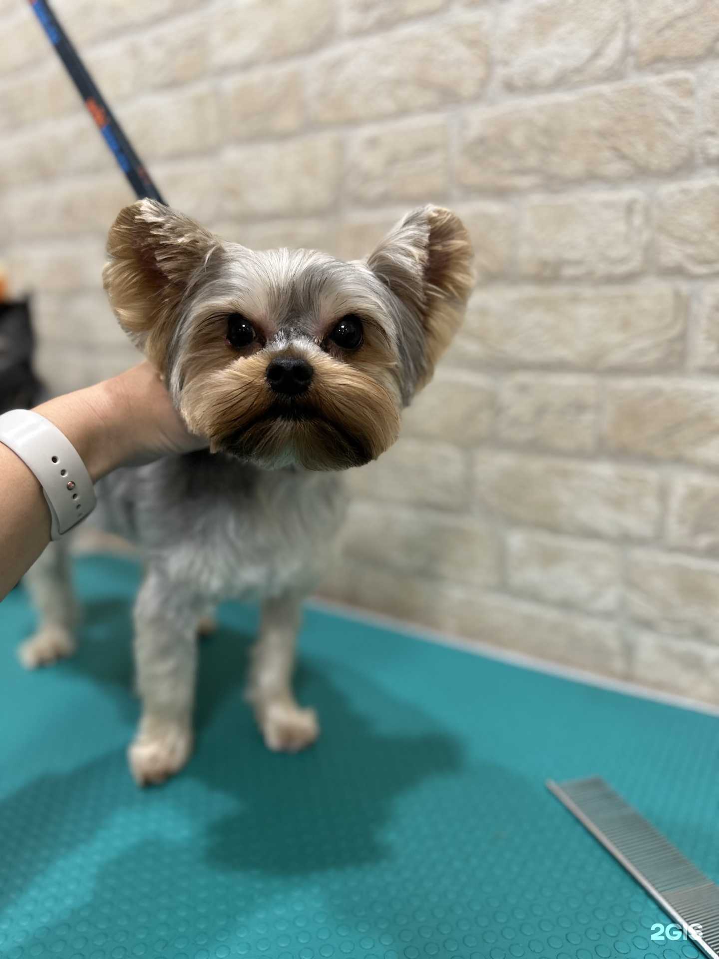 Отзывы на компанию Маруся в г. Краснодар c фото