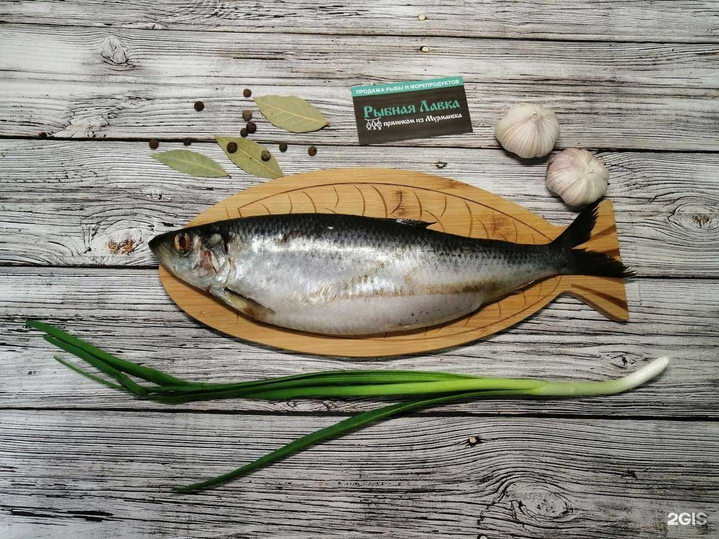 Отзывы на компанию Рыбная лавка в Твери c фото