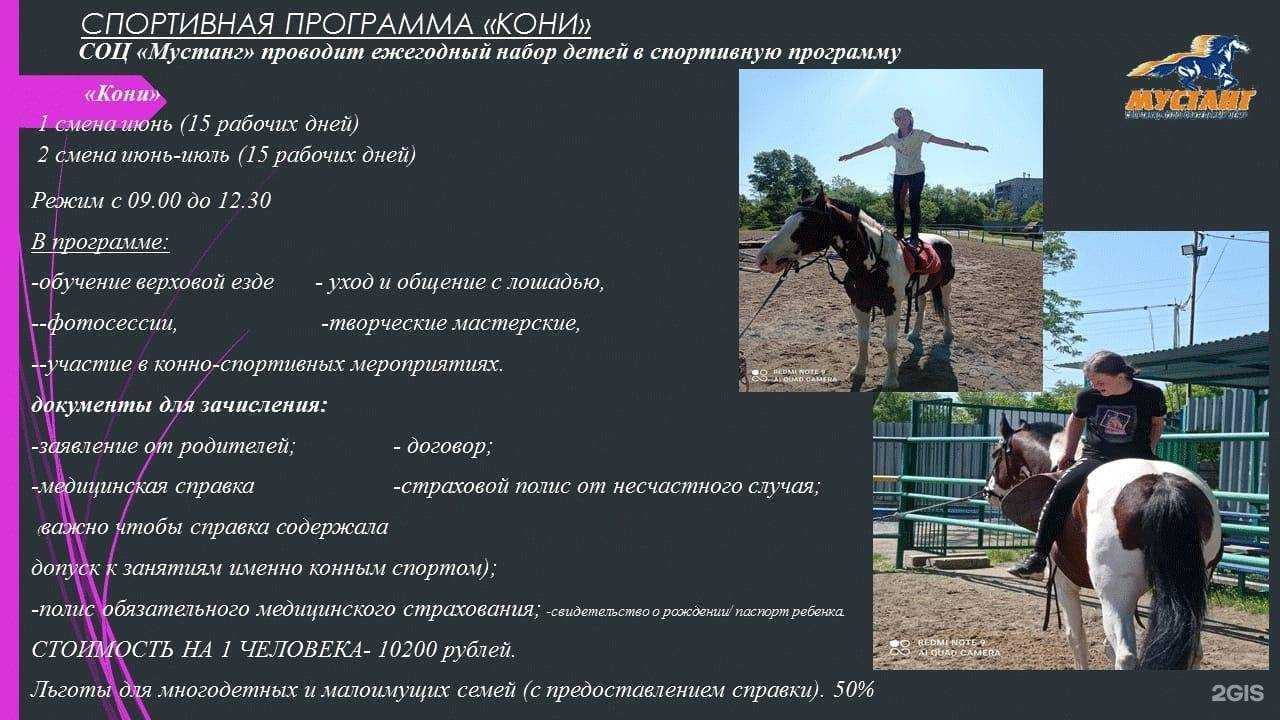 Отзывы на компанию Мустанг в Хабаровске c фото