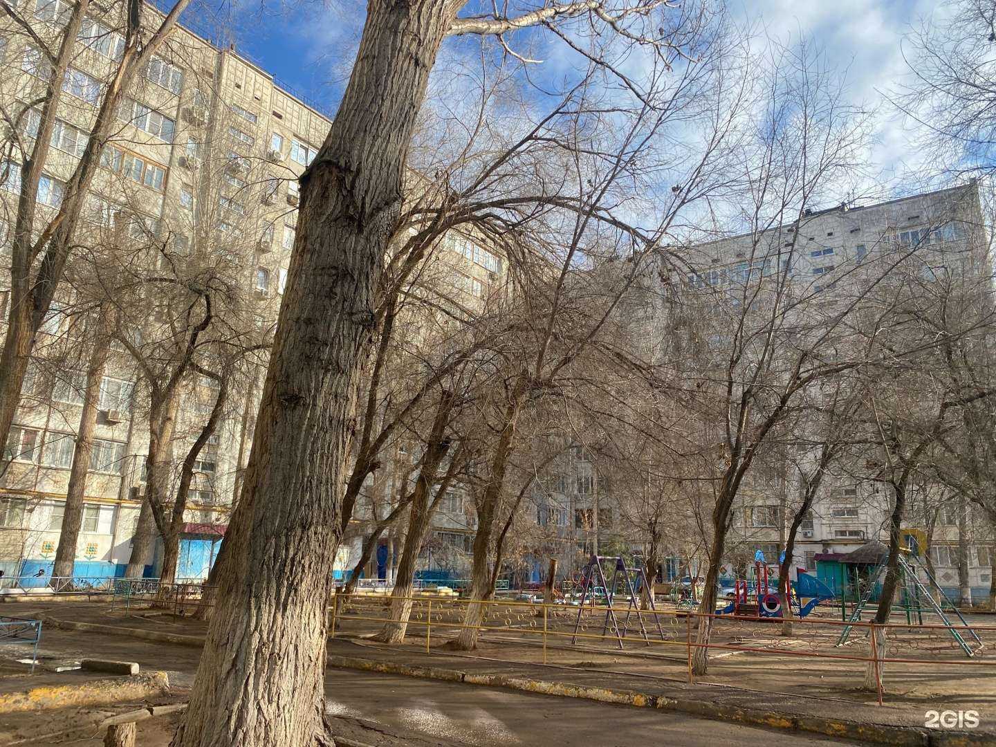 Отзывы на компанию Камелия в Астрахани c фото - фотография 2 из 2