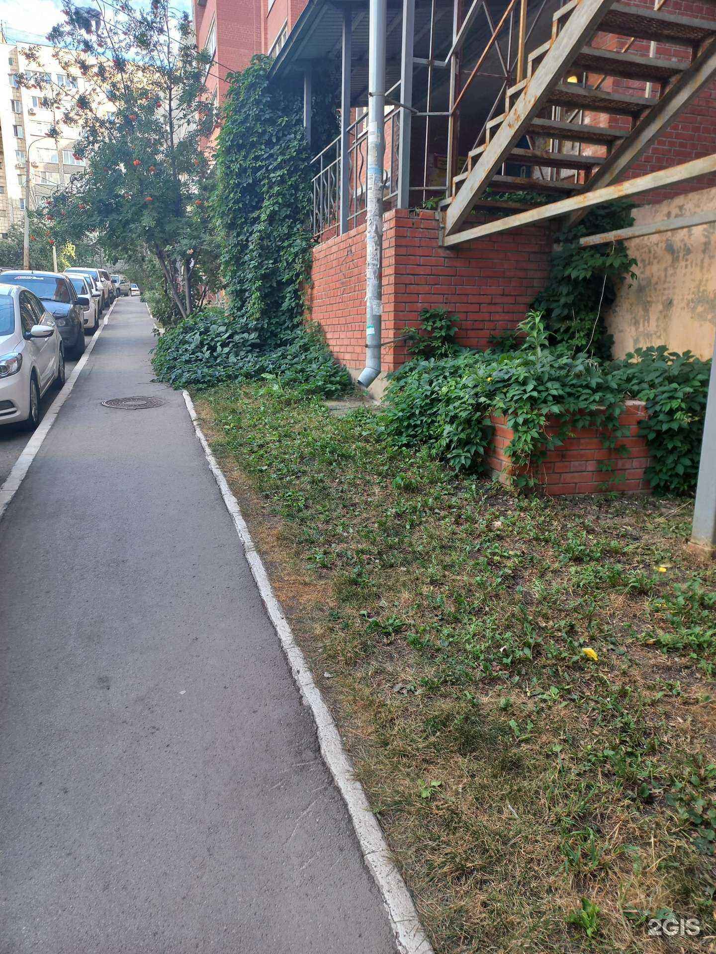 Отзывы на компанию Чистая поляна в г. Самара c фото