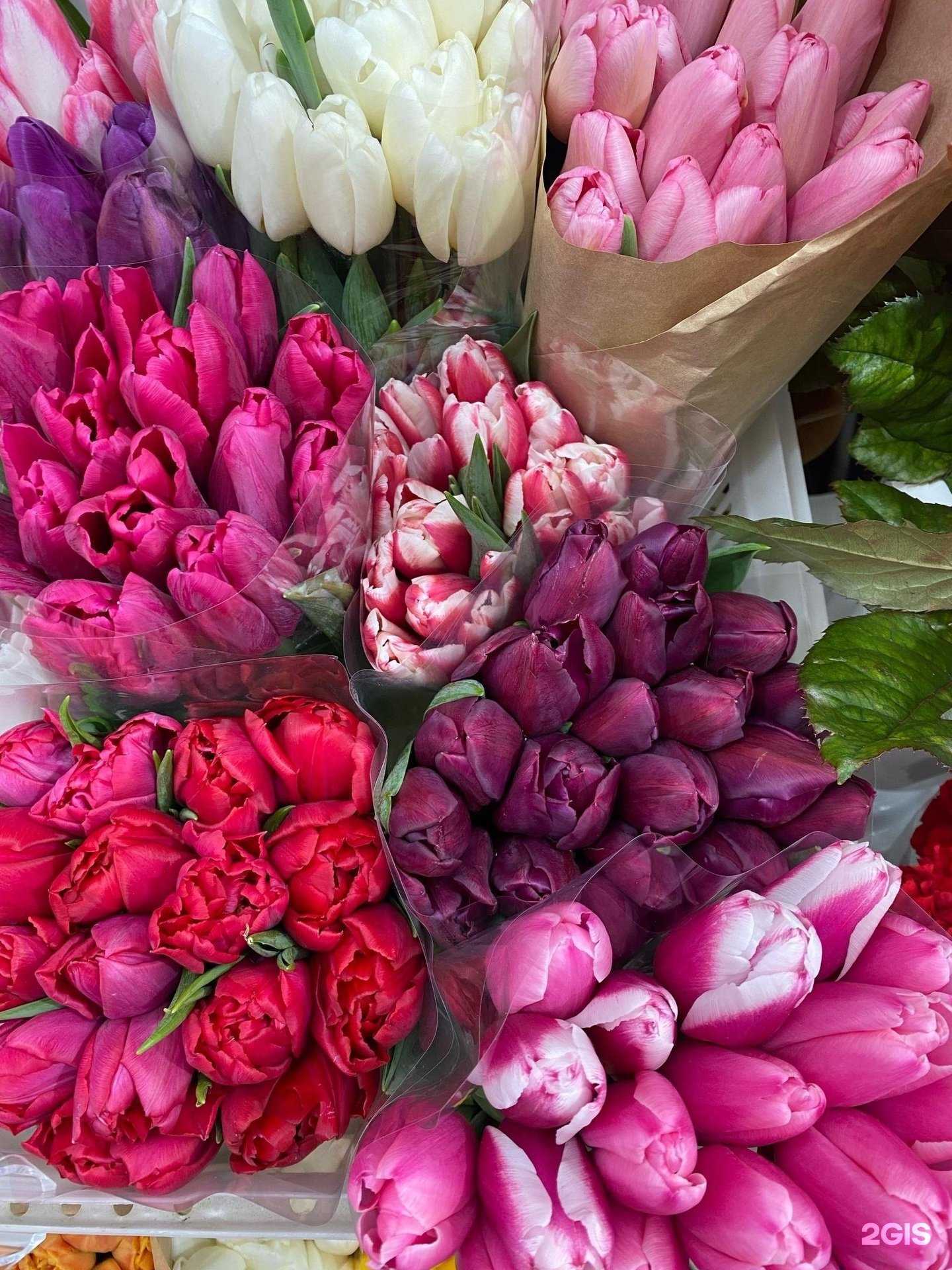 Отзывы на компанию Флора в Саратове c фото