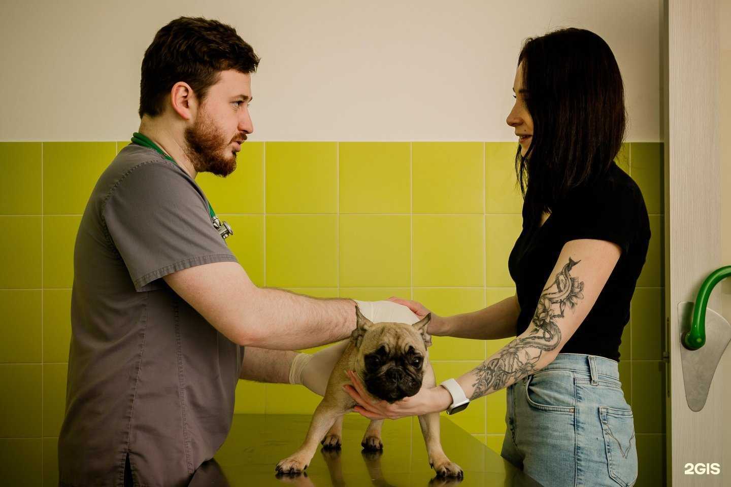 Отзывы на компанию Терравет в г. Балашиха c фото