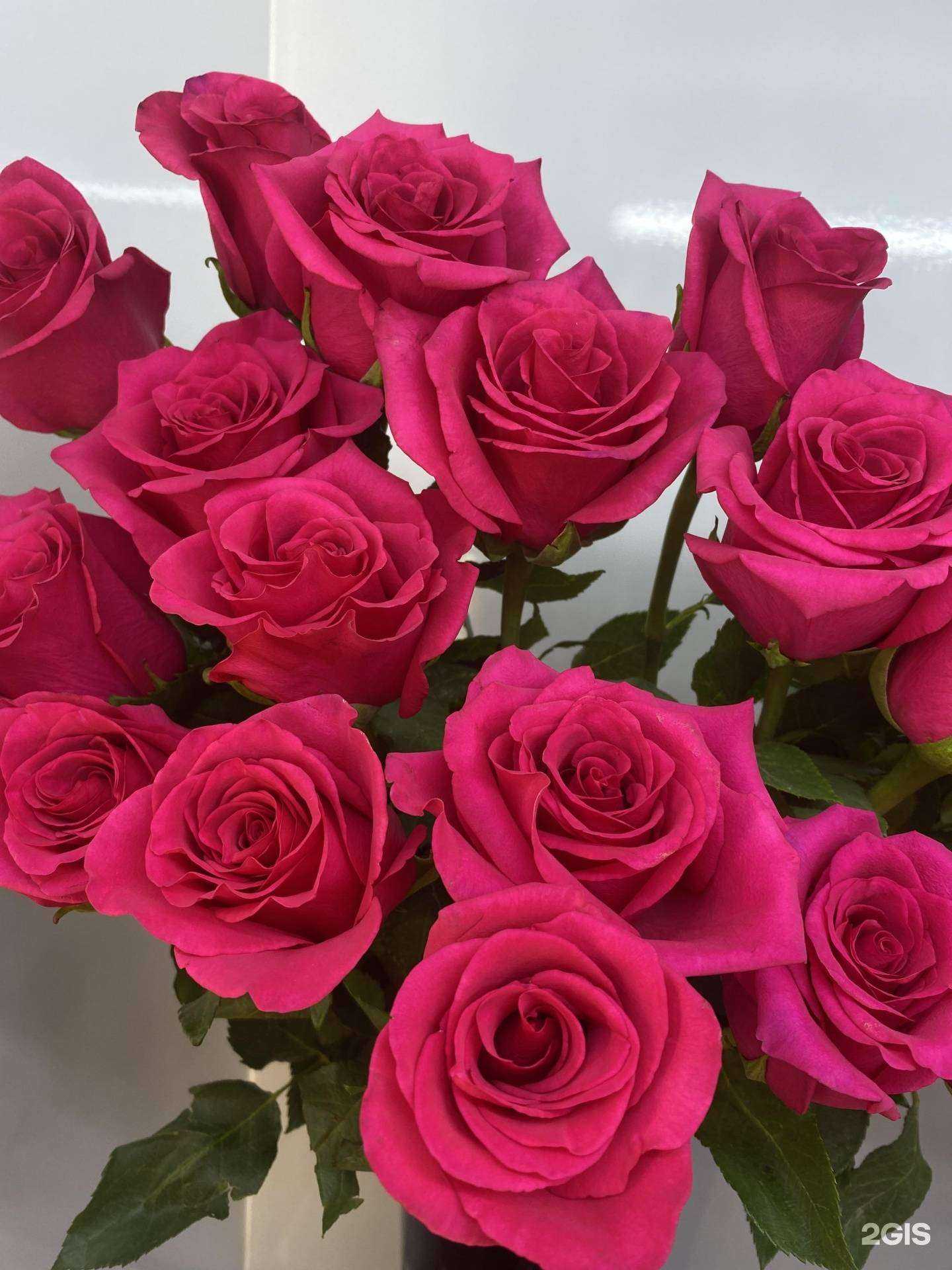 Отзывы на компанию Жасмин в Чите c фото