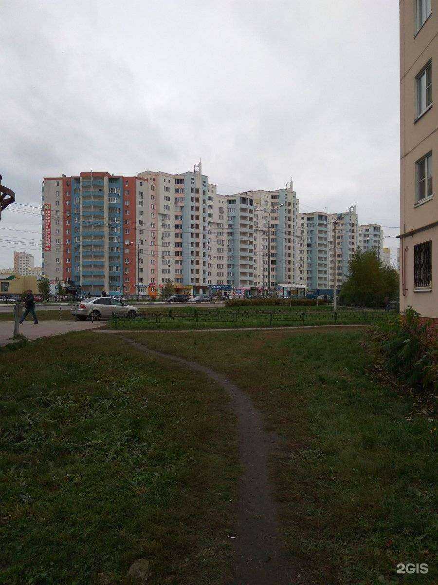 Отзывы на компанию Максавит в Липецке c фото - фотография 2 из 2