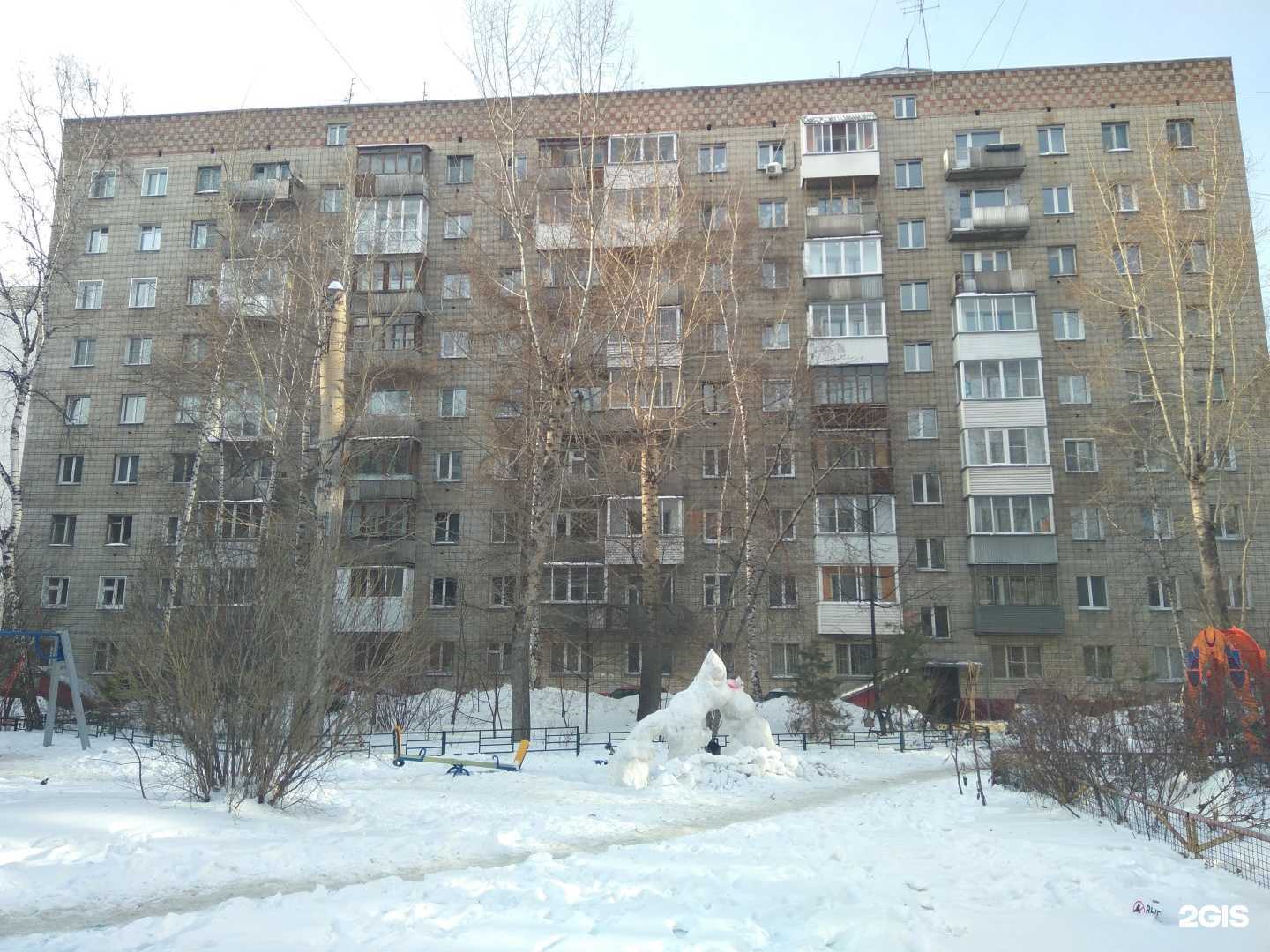 Отзывы на компанию Лапушка в Новосибирске c фото - фотография 2 из 2