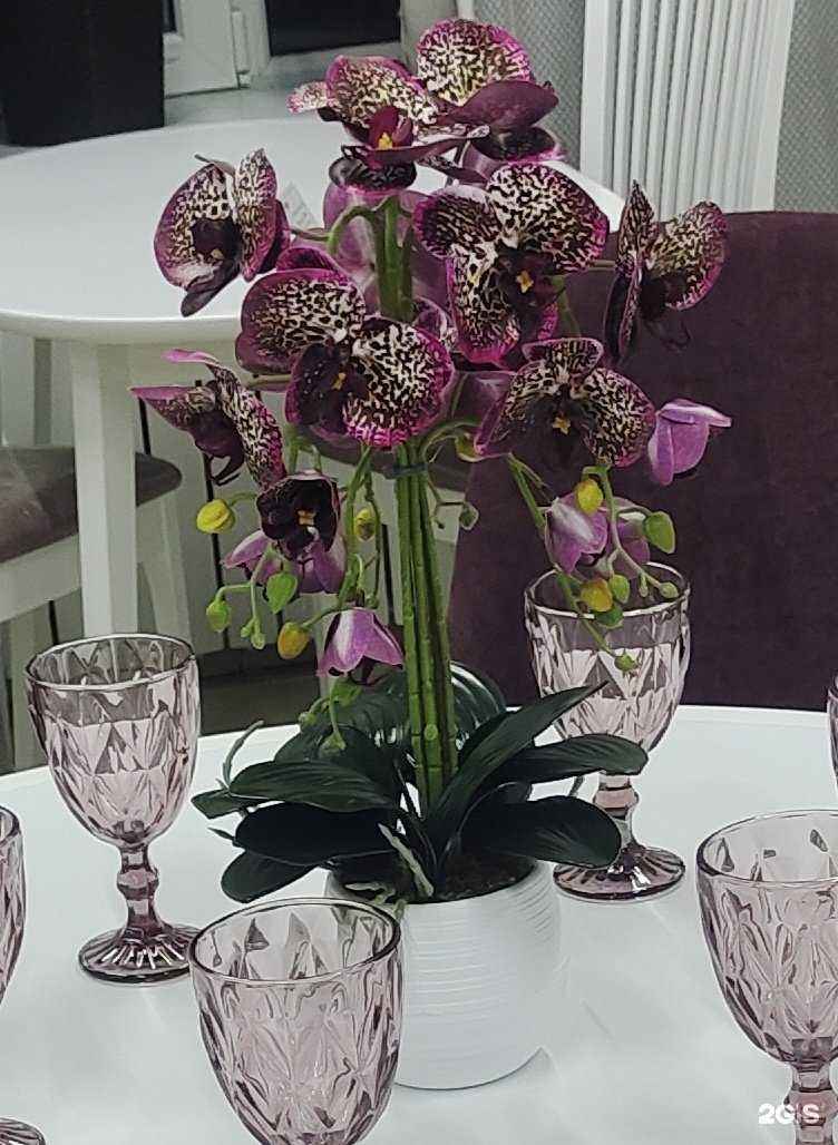 Отзывы на компанию Анкор в Красноярске c фото