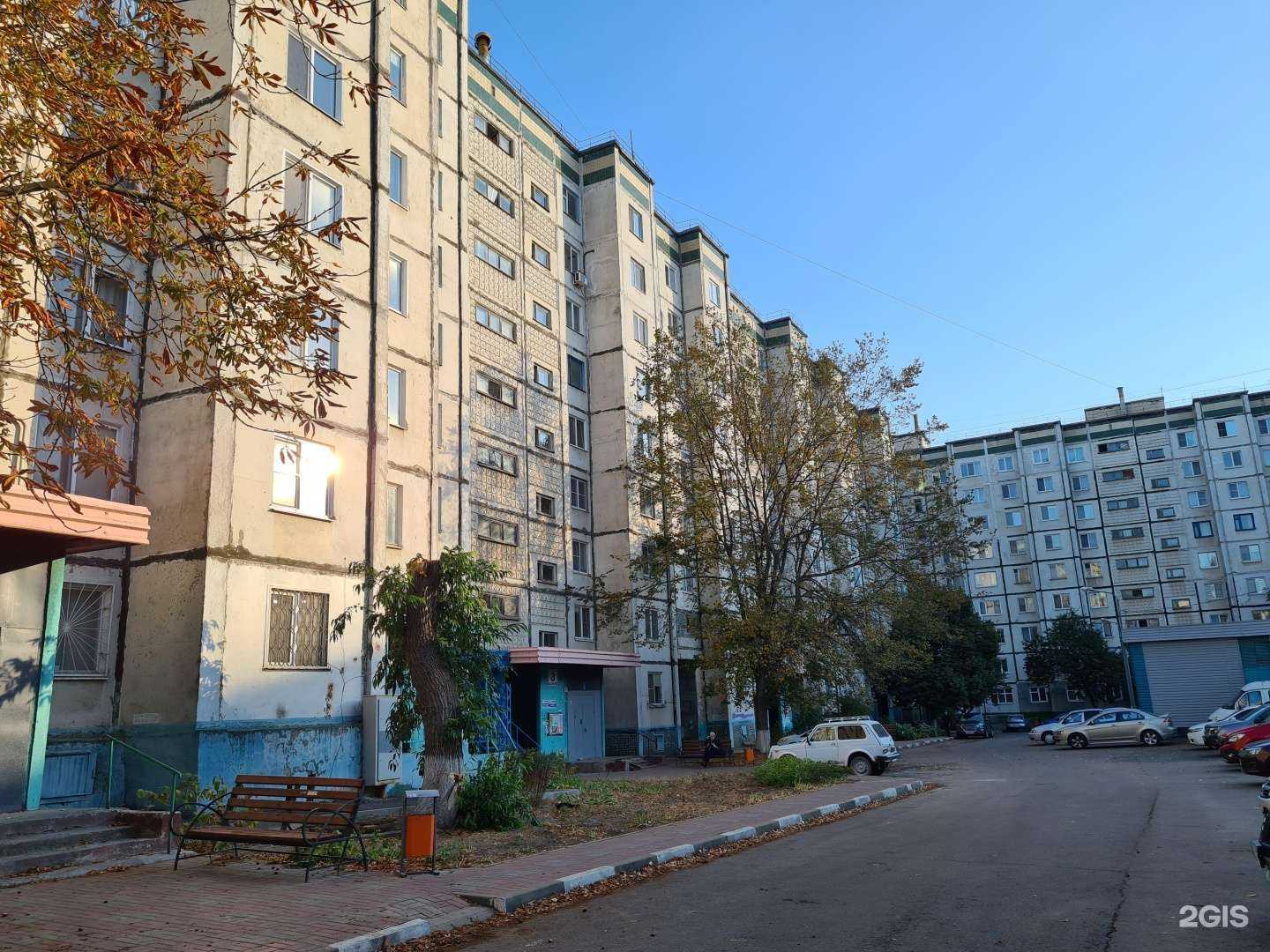 Отзывы на компанию Daruma dojo в Белгороде c фото - фотография 2 из 2