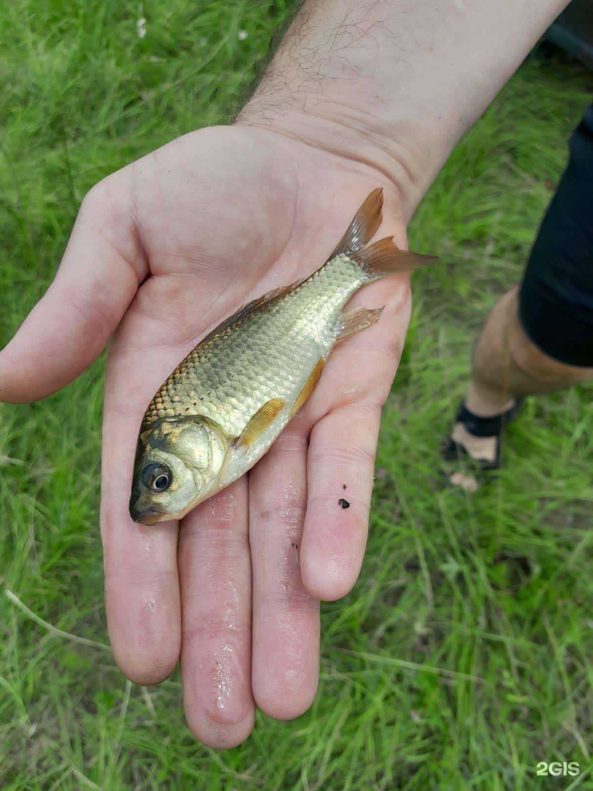 Отзывы на компанию Магазин автозапчастей в Волгограде c фото
