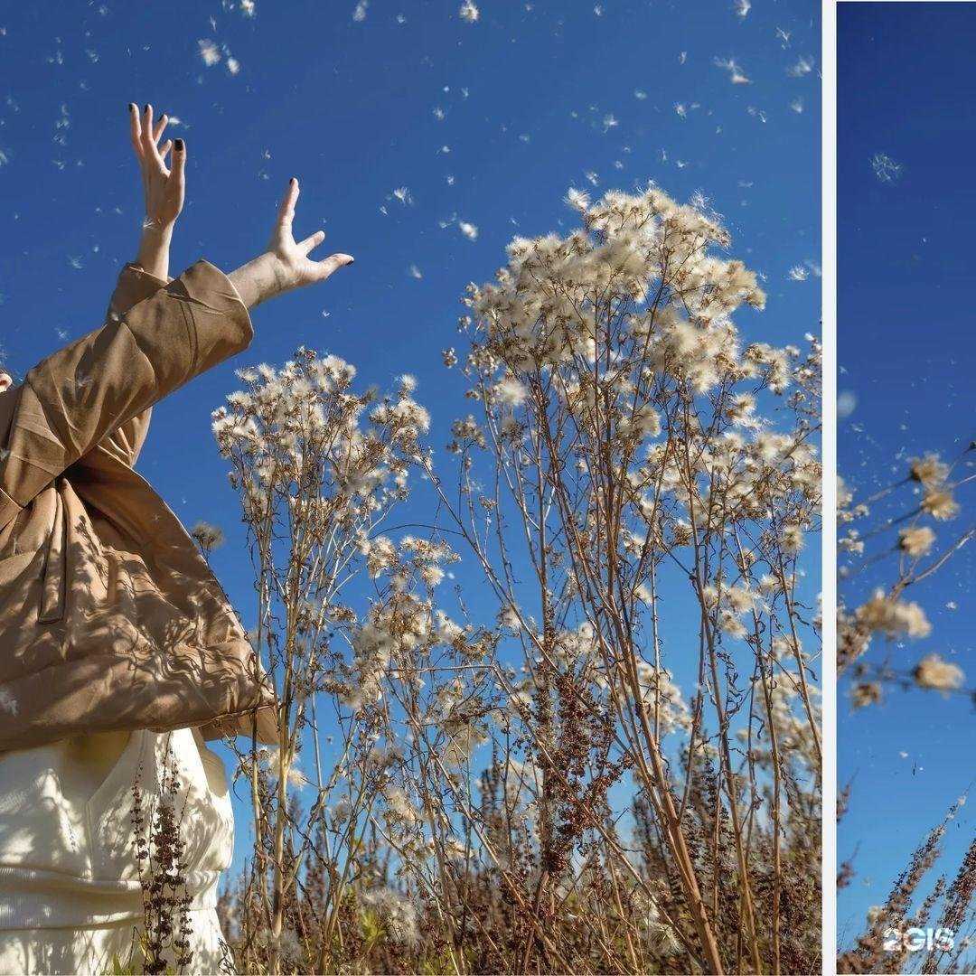 Отзывы на компанию Formablack в Омске c фото