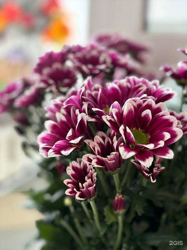 Отзывы на компанию Для ваших любимых в Кургане c фото