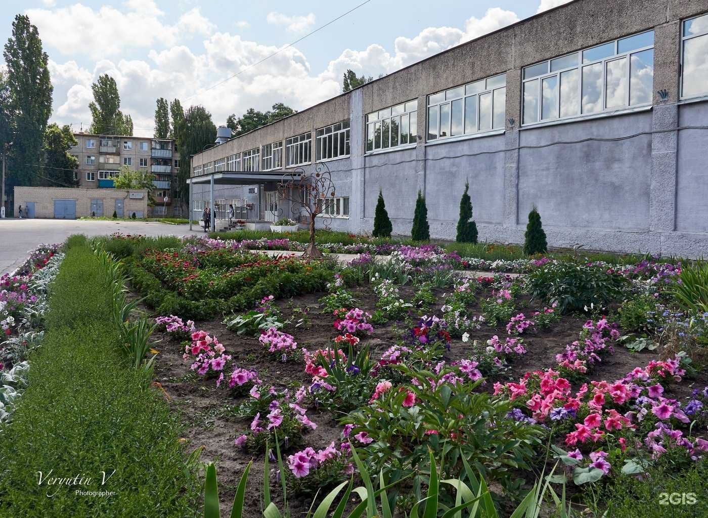 Отзывы на компанию Средняя общеобразовательная школа №20 им. А.А. Хмелевского в г. Курск c фото