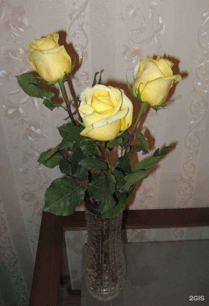 Отзывы на компанию Салон-магазин цветов в г. Сыктывкар c фото