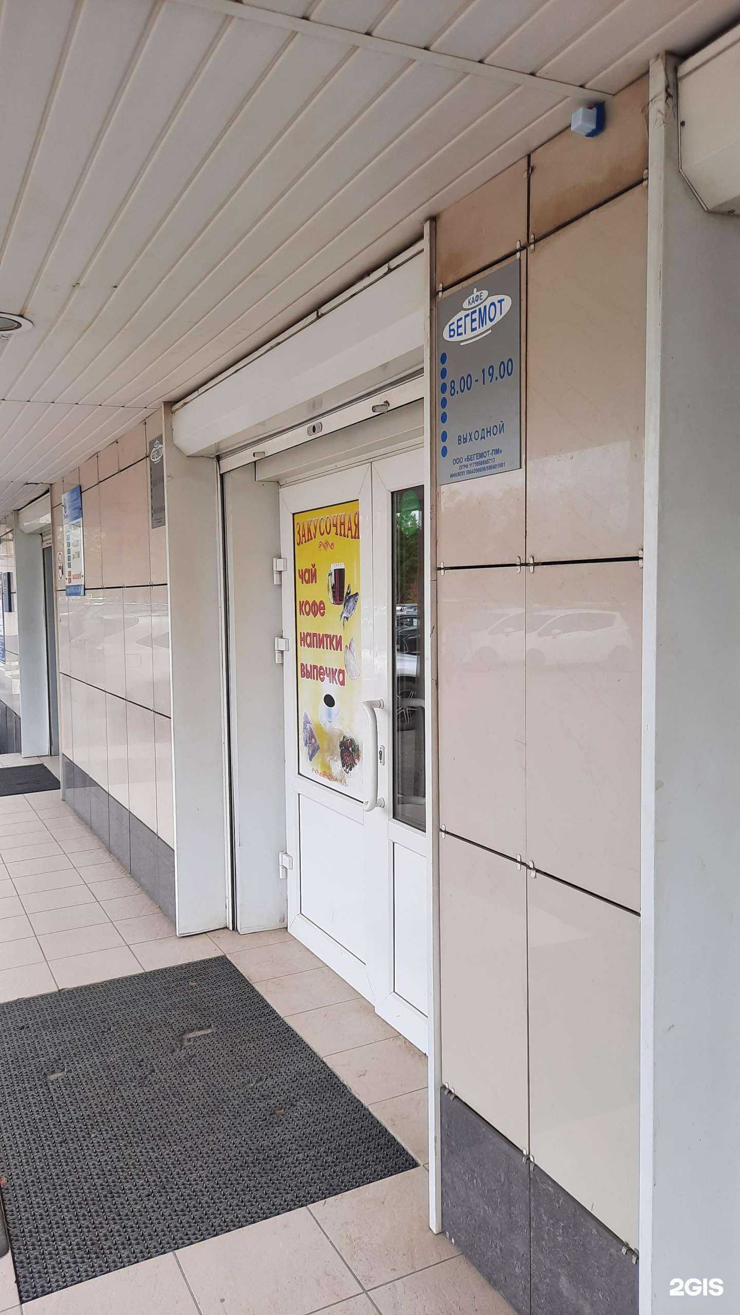 Отзывы на компанию Бегемот в Перми c фото