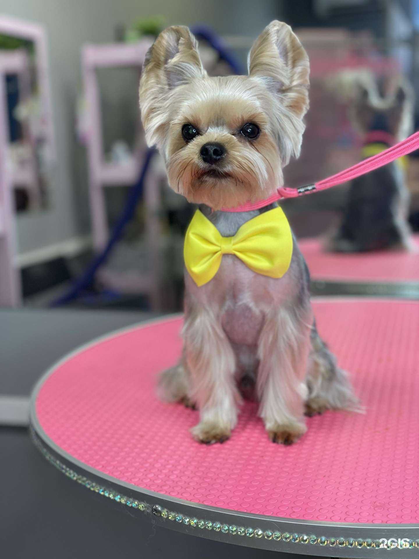 Отзывы на компанию Бонифаций в г. Краснодар c фото