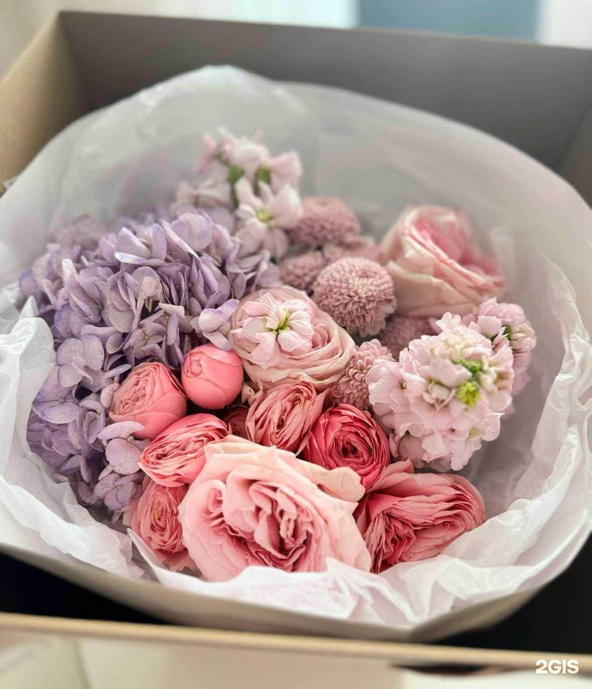 Отзывы на компанию Trava в Копейске c фото