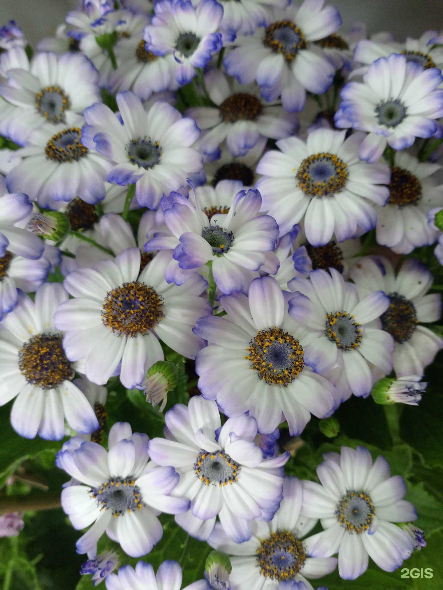 Отзывы на компанию Prosper в Тюмени c фото