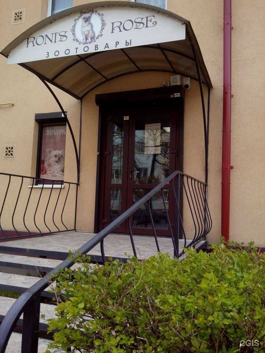 Отзывы на компанию Roni`s Rose в Калининграде c фото