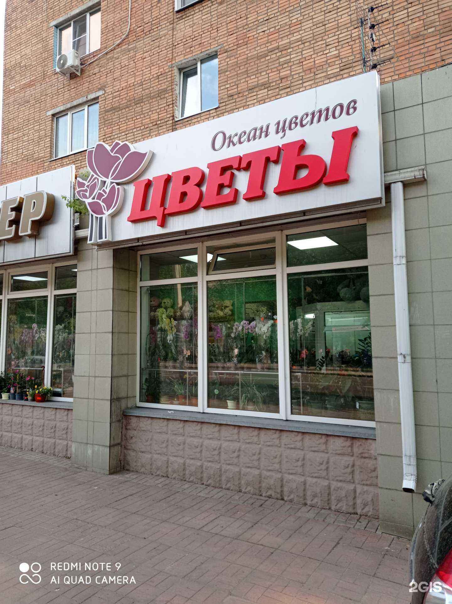 Отзывы на компанию Океан цветов в г. Курск c фото