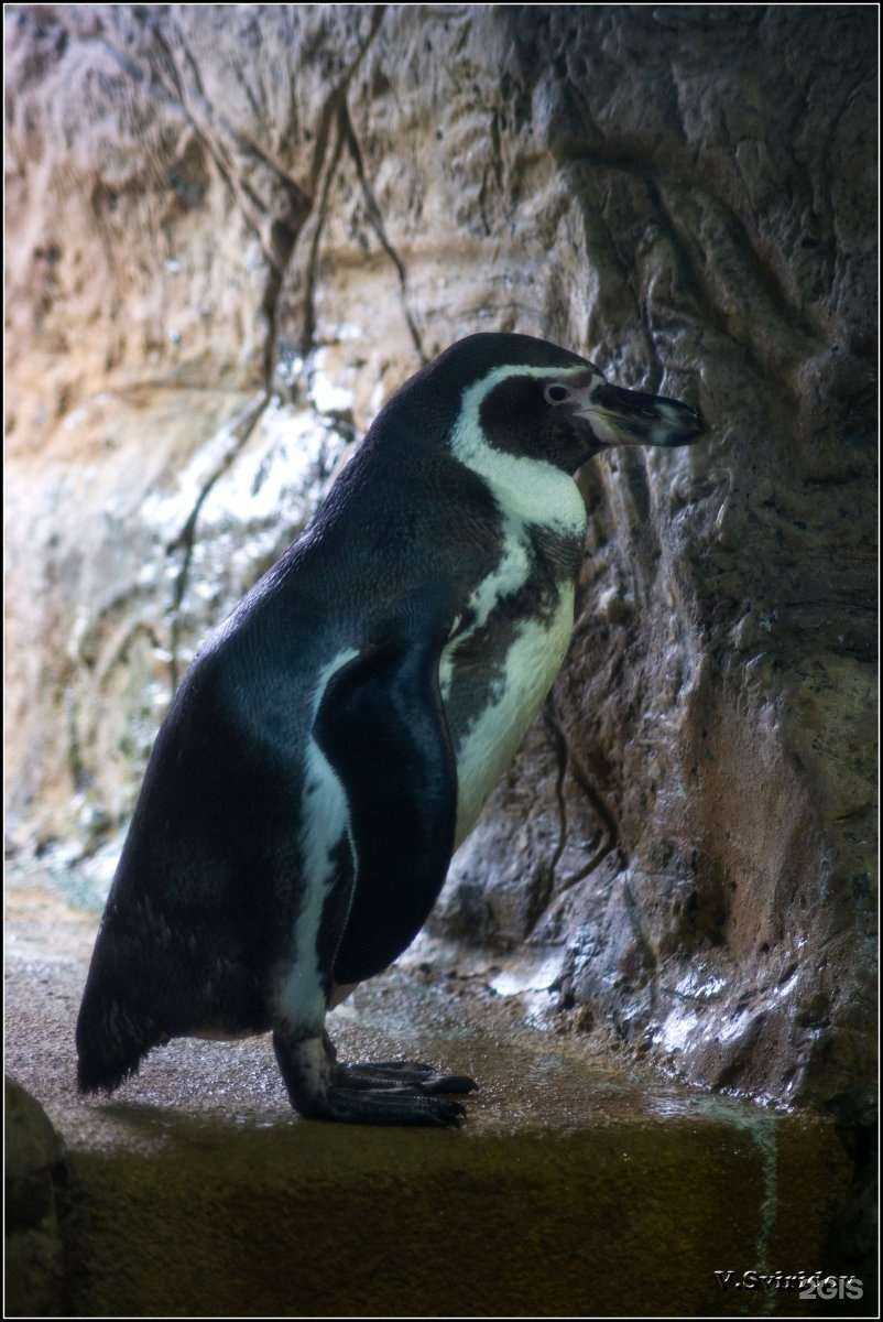 Отзывы на компанию Мой Дом в Сочи c фото - фотография 2 из 2