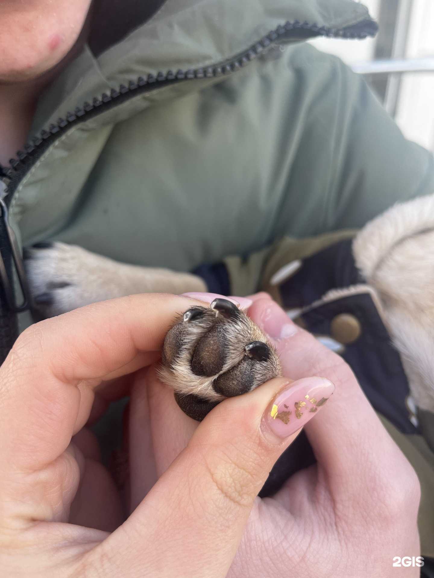 Отзывы на компанию Частный ветеринарный центр в Саратове c фото