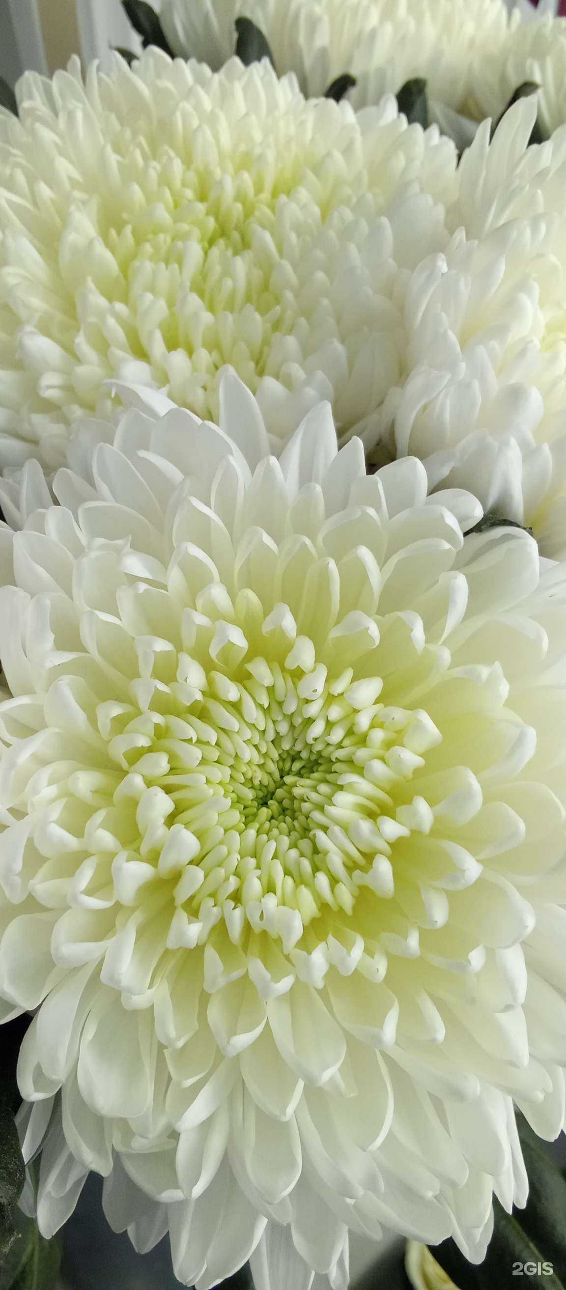 Отзывы на компанию Мяснушка в Барнауле c фото - фотография 2 из 2