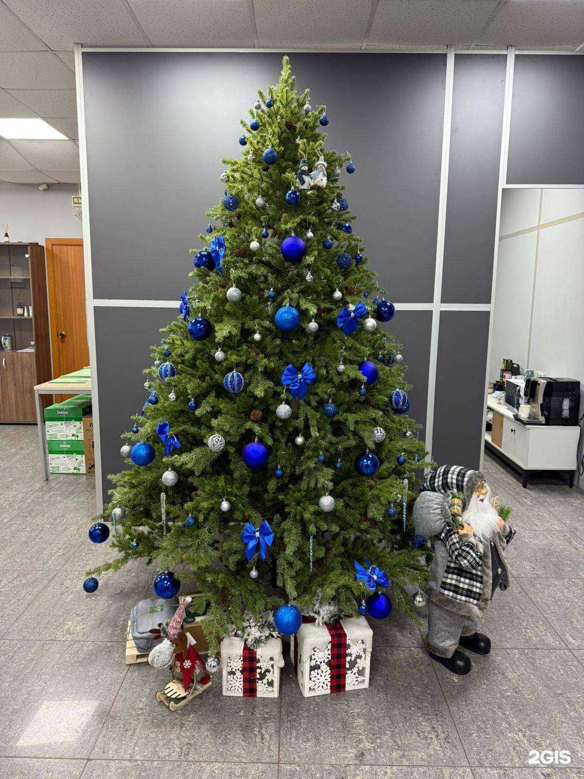 Отзывы на компанию Алиот-Авто в Владивостоке c фото