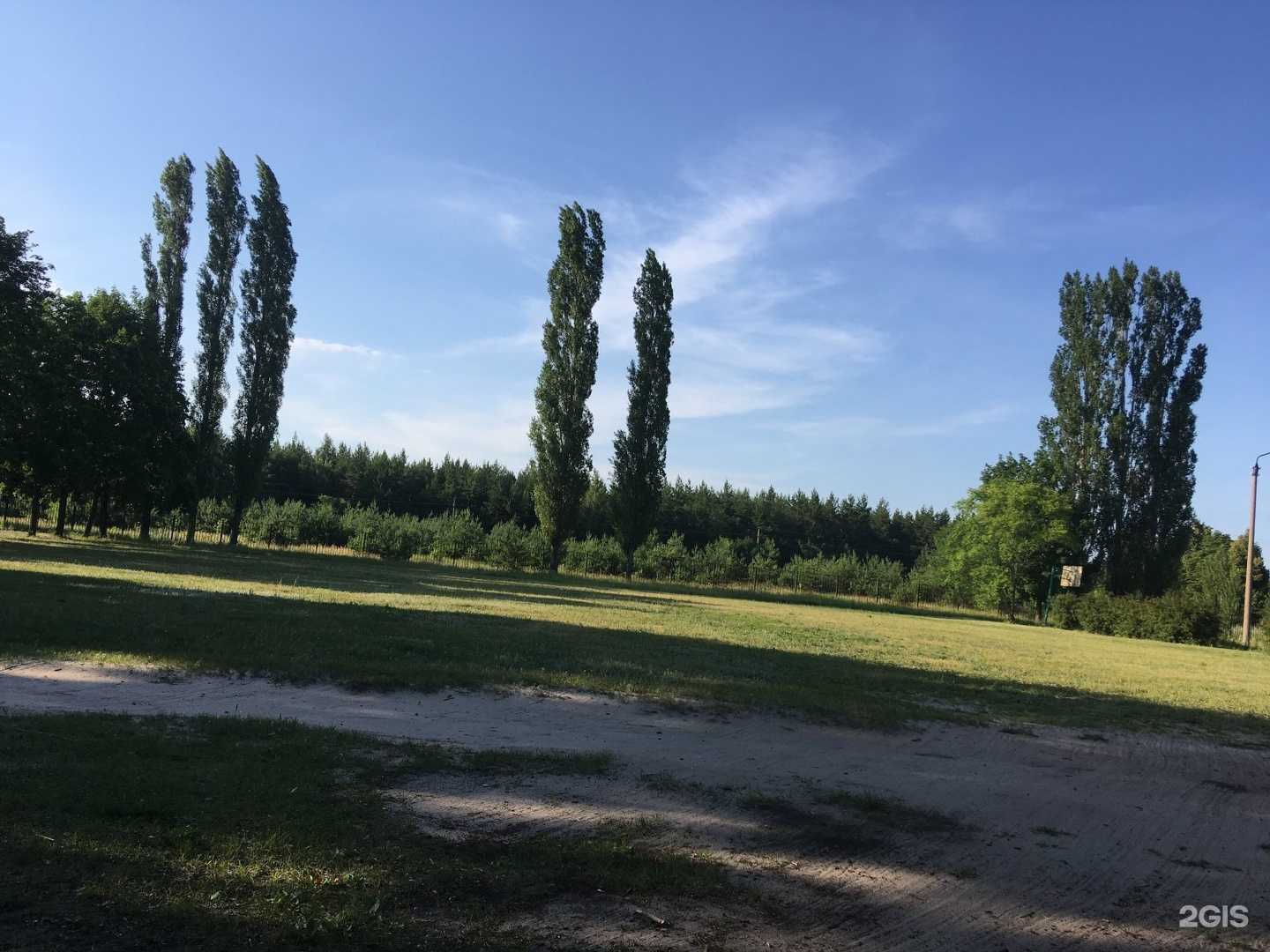 Отзывы на компанию Средняя школа №10 в Воронеже c фото