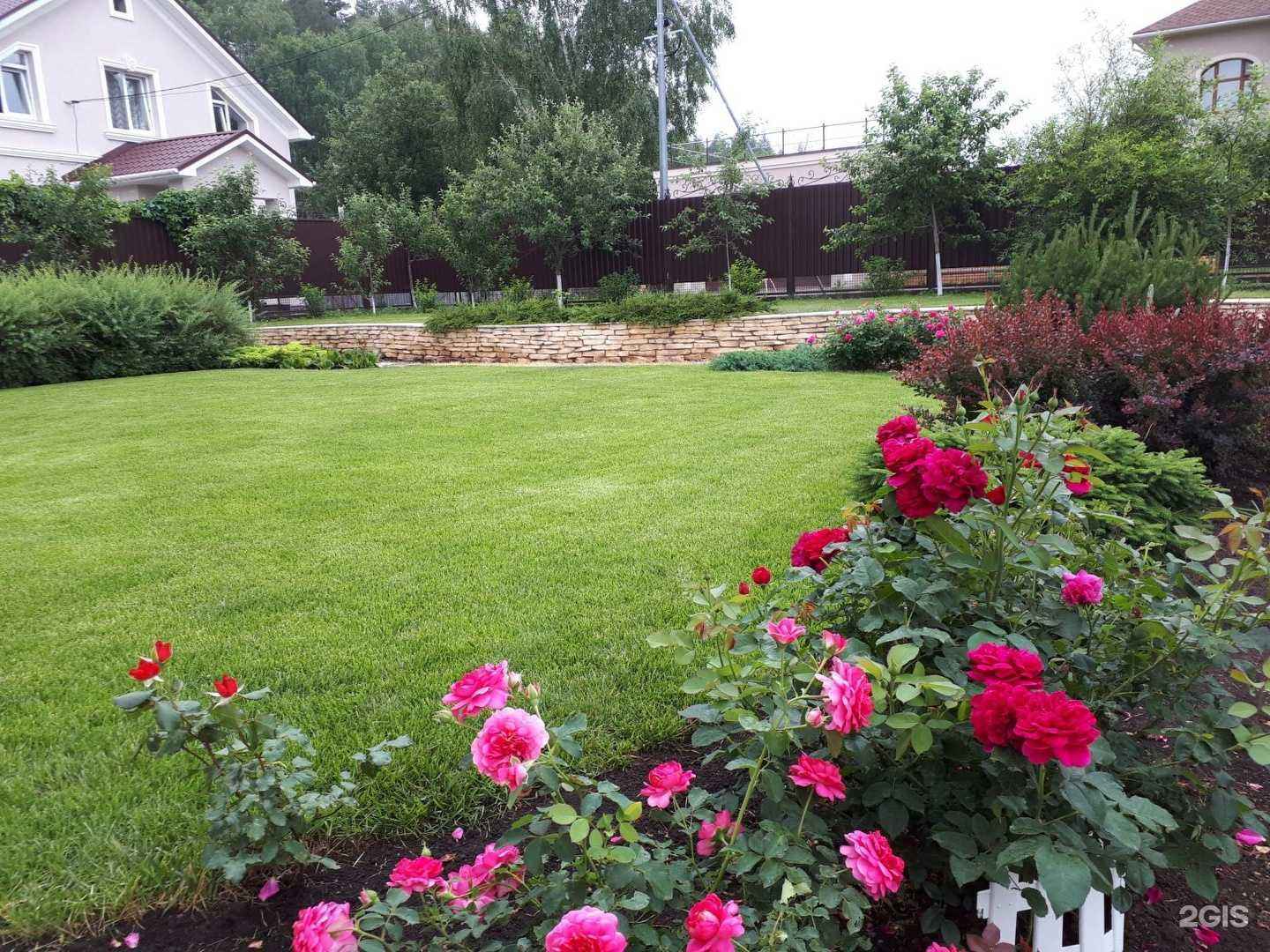 Отзывы на компанию Дицентра в г. Альметьевск c фото