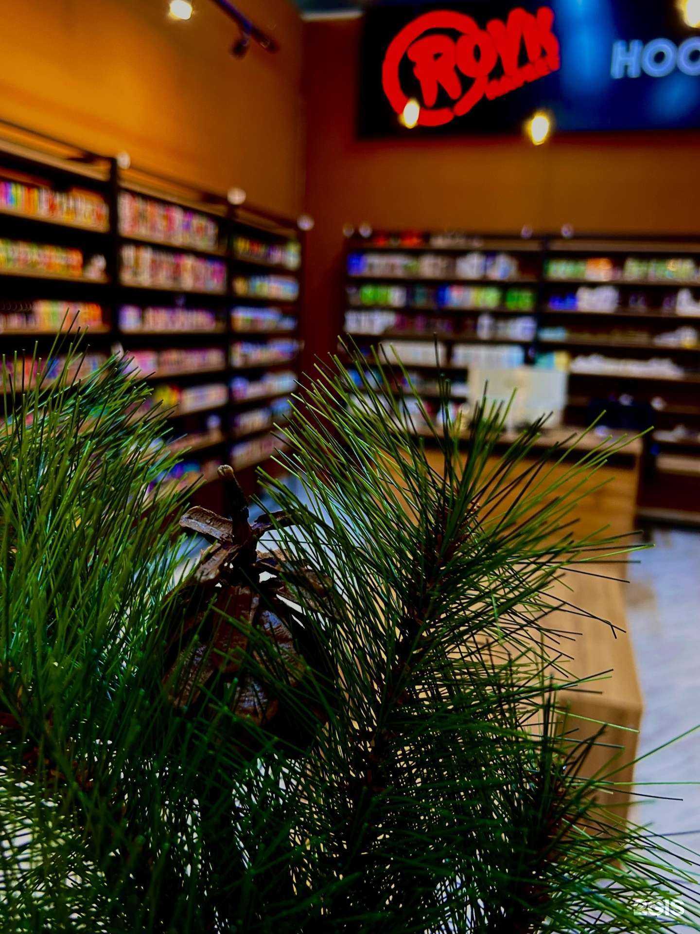 Отзывы на компанию Royk в г. Барнаул c фото