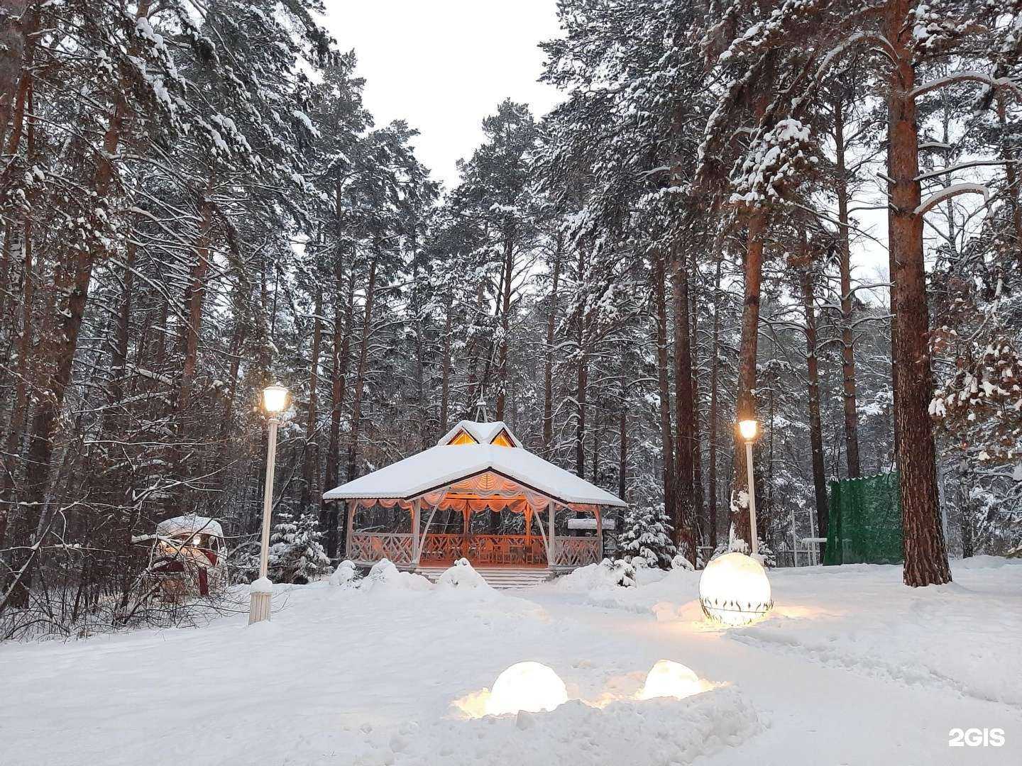 Отзывы на компанию Лес в Бердске c фото - фотография 2 из 2