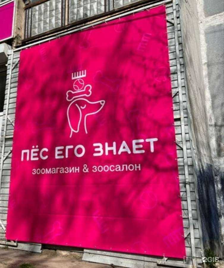 Отзывы на компанию Пёс его знает в Удомли c фото