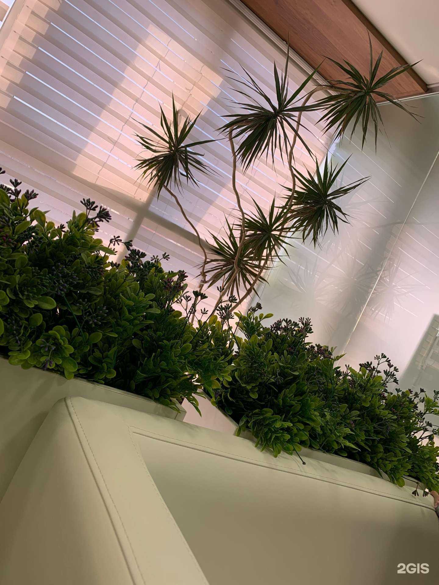 Отзывы на компанию White clinic в Анапе c фото - фотография 2 из 2