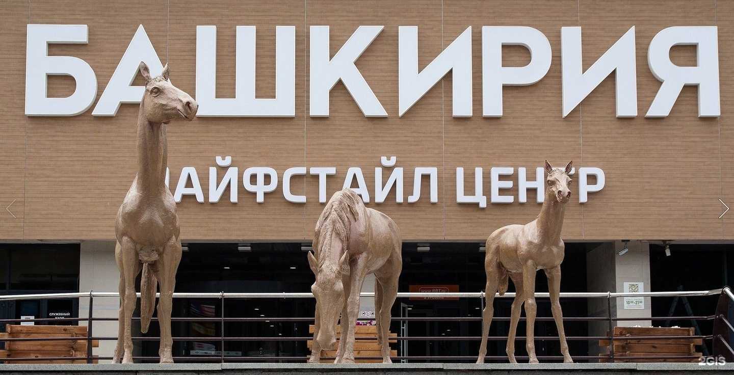 Отзывы на компанию Carlos`Club в г. Уфа c фото