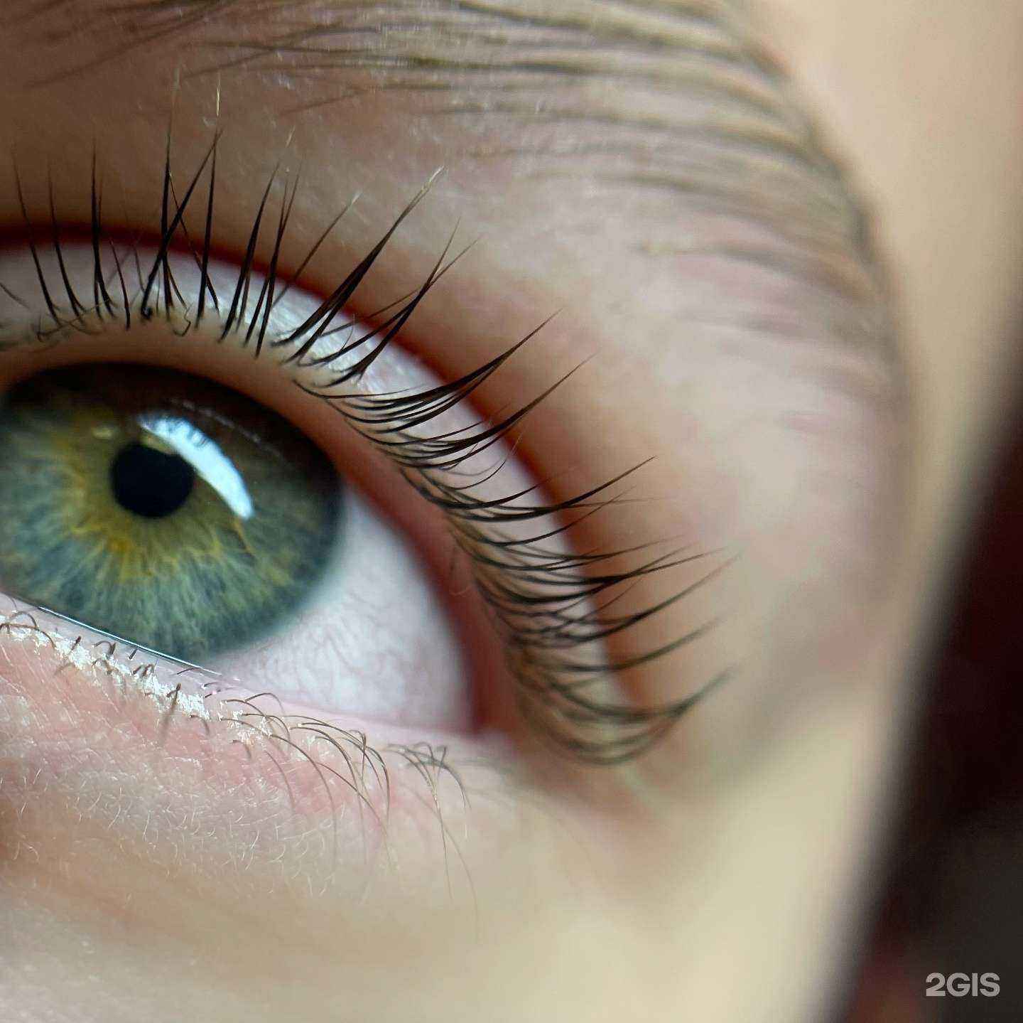 Отзывы на компанию Ресничка к ресничке в г. Саранск c фото