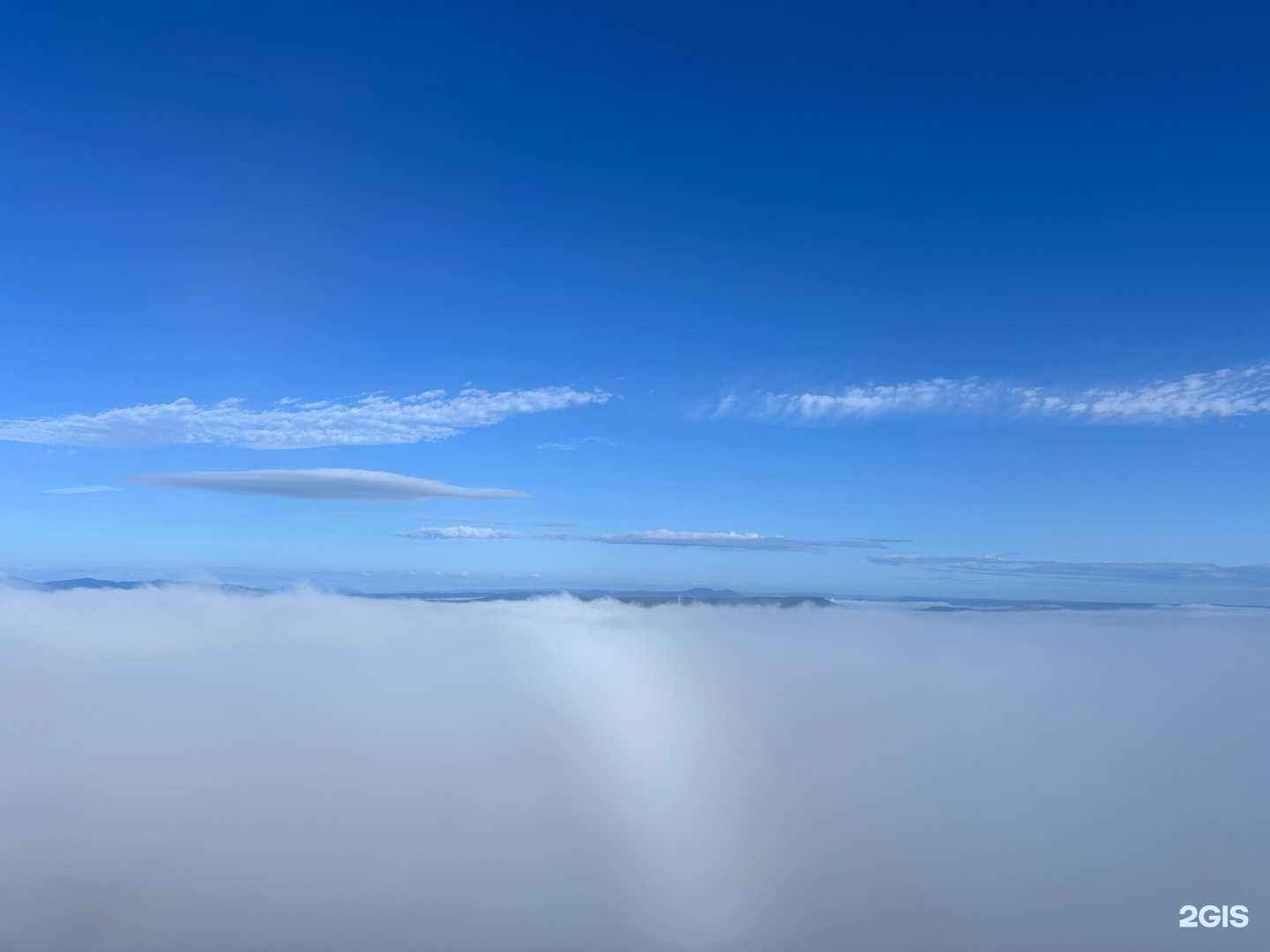 Отзывы на компанию Свёкла в Владивостоке c фото - фотография 2 из 2