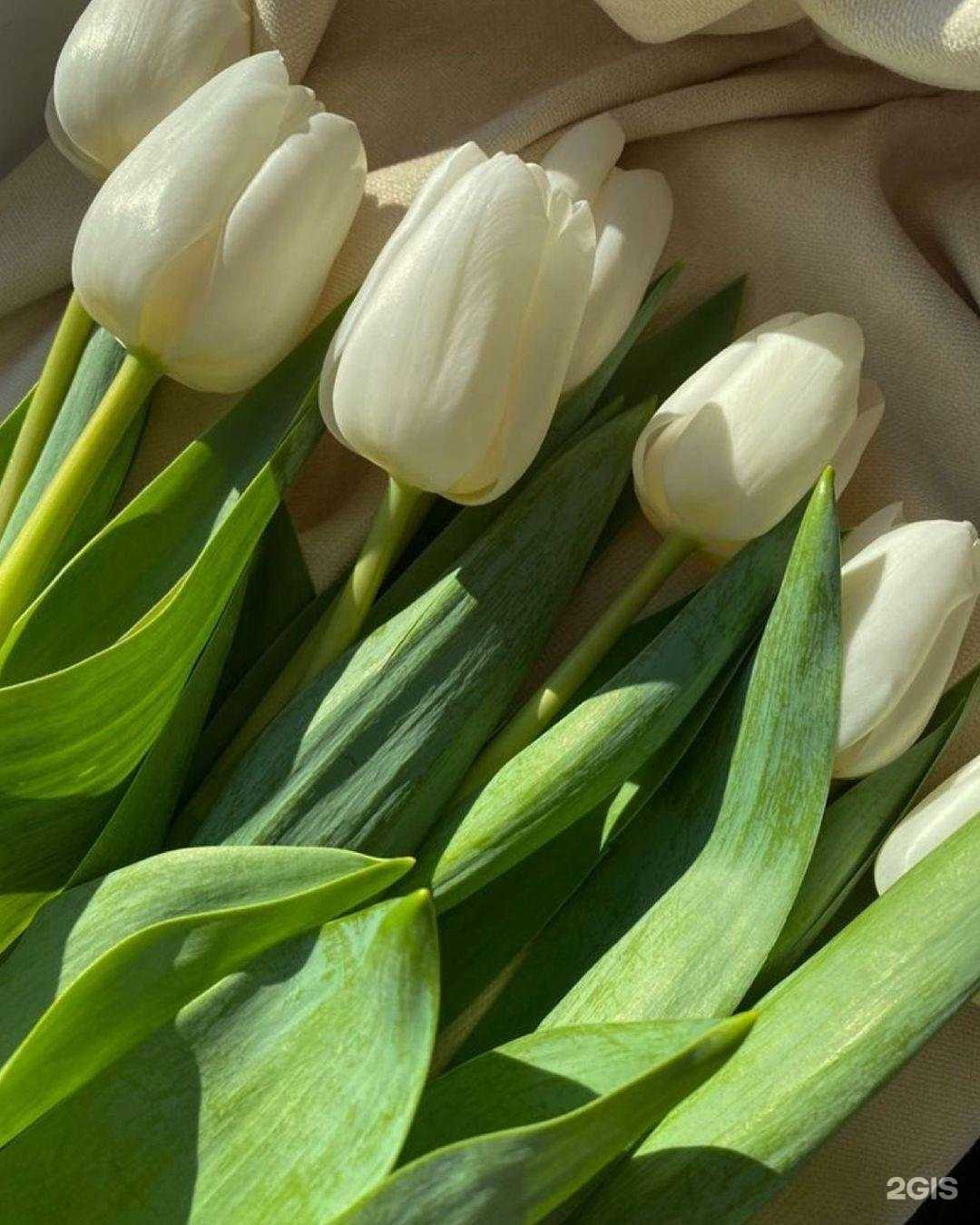 Отзывы на компанию Студия красоты для тебя в Петрозаводске c фото