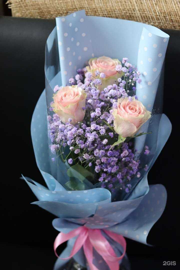 Отзывы на компанию Клевер в Кирове c фото