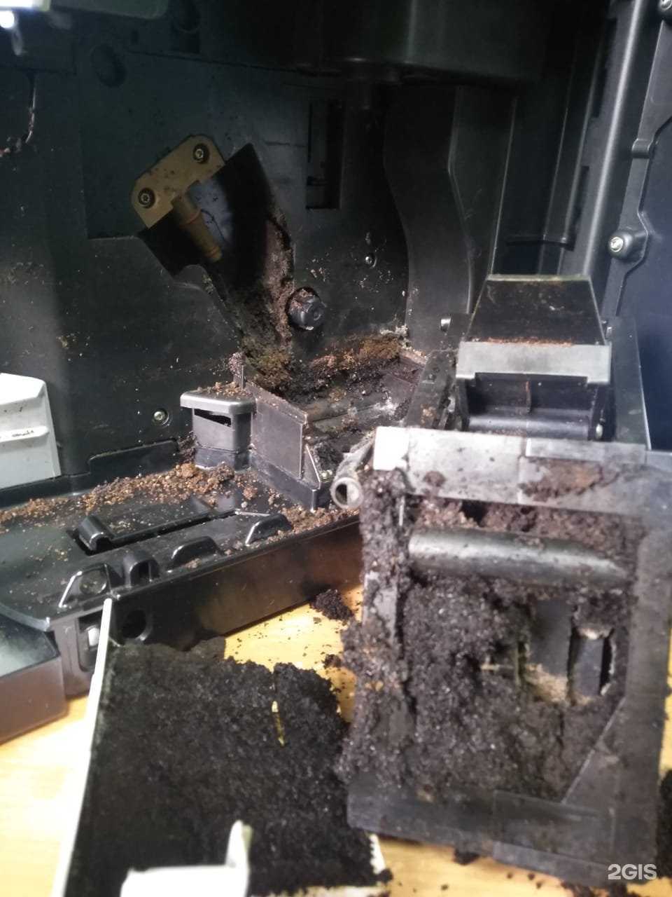 Отзывы на компанию КофеЛидер в Новосибирске c фото