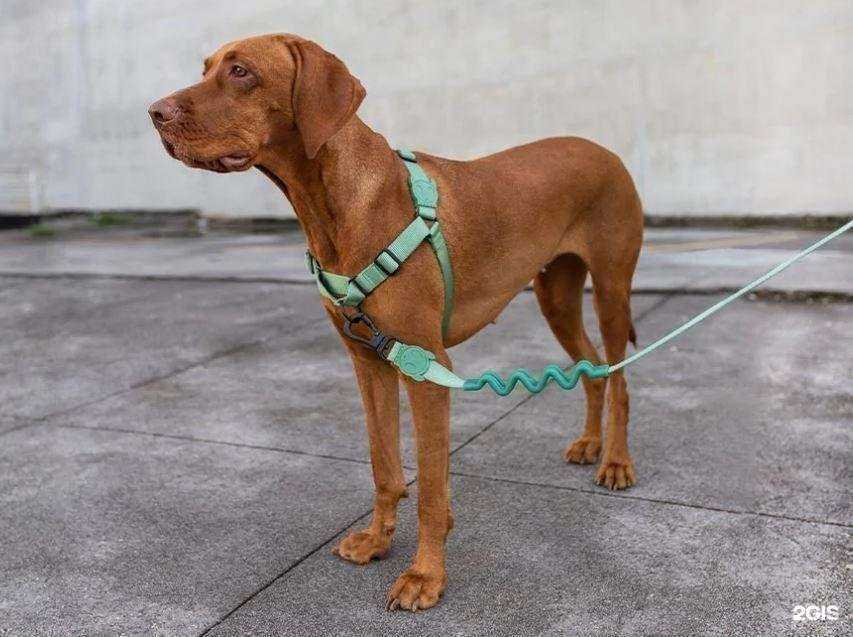 Отзывы на компанию Заповедник в г. Тюмень c фото