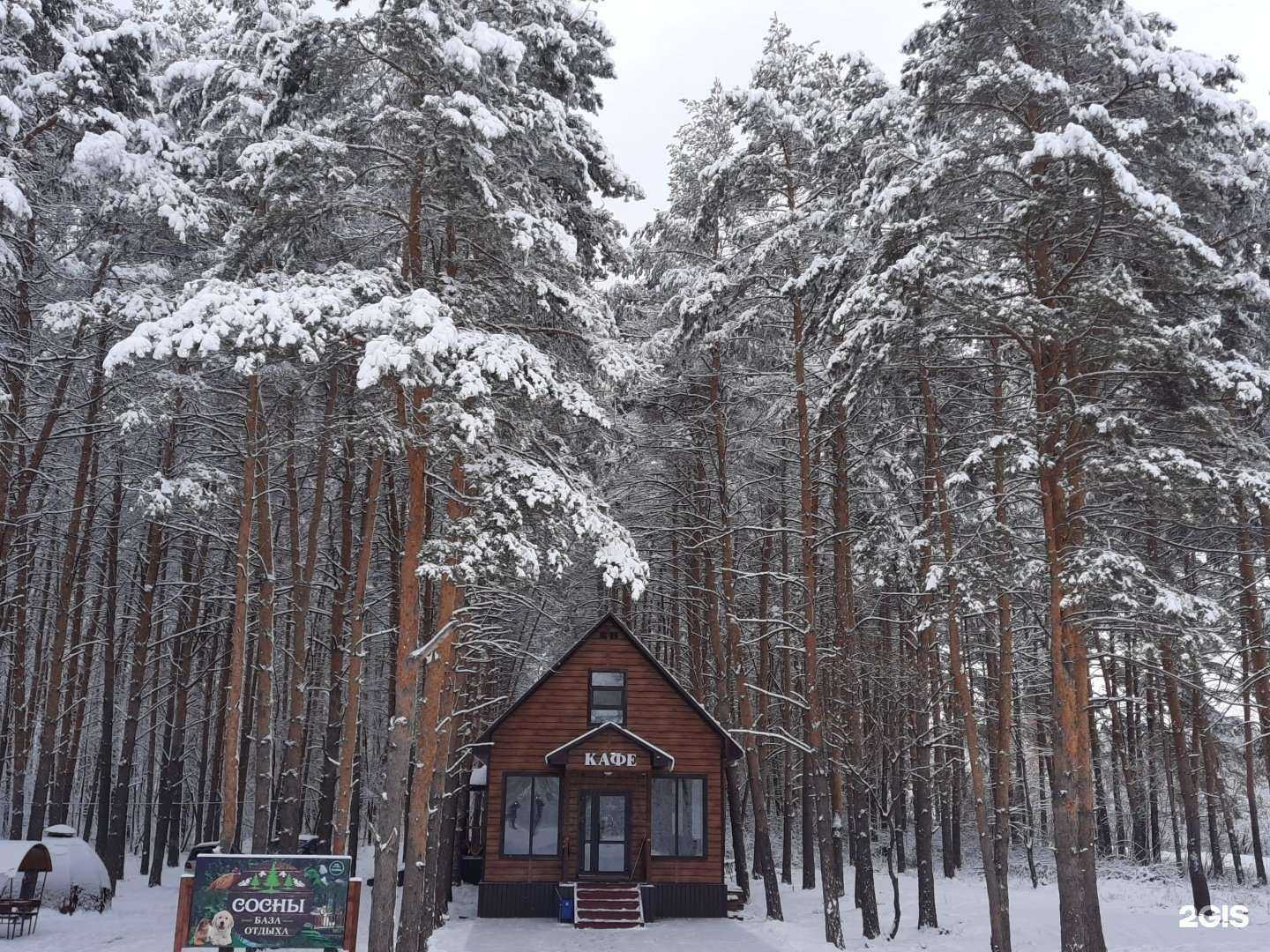 Отзывы на компанию Сосны в г. Стерлитамак c фото