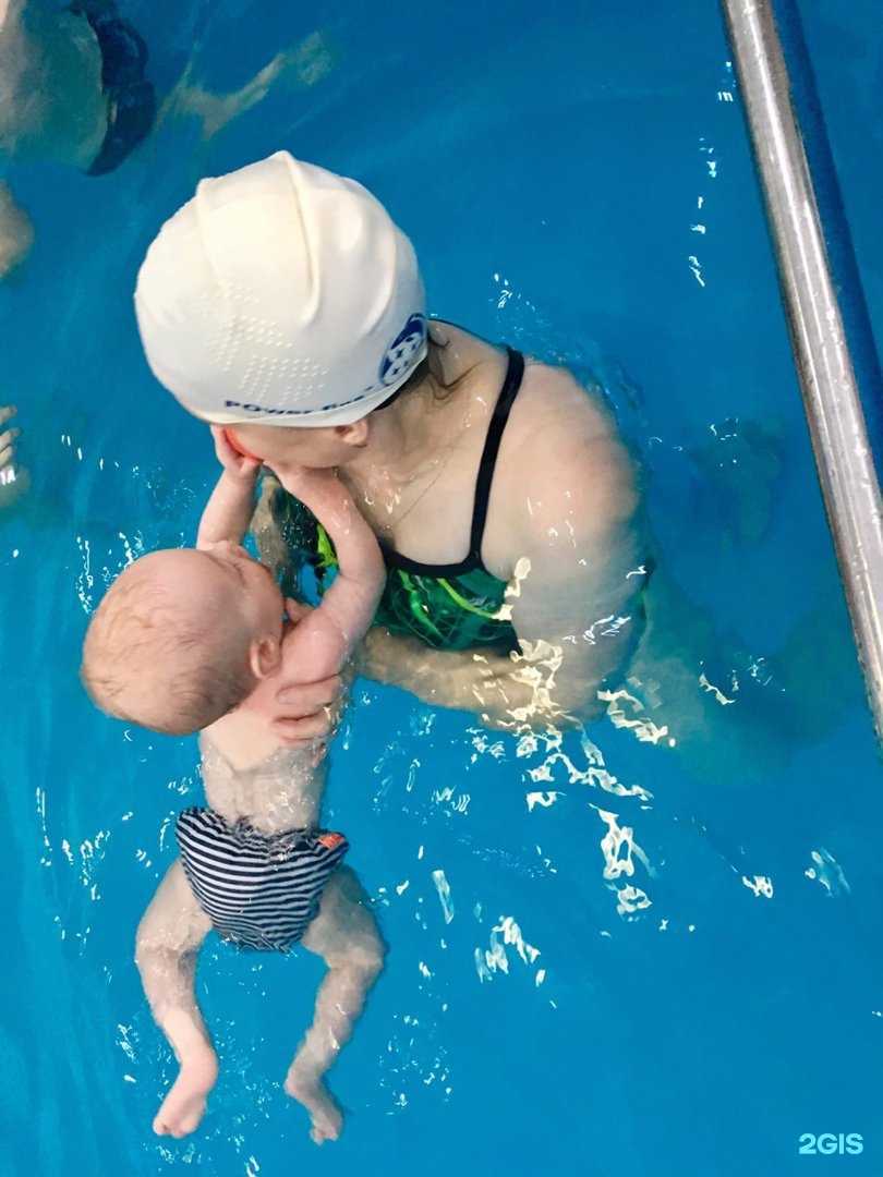 Отзывы на компанию Дар в г. Кемерово c фото