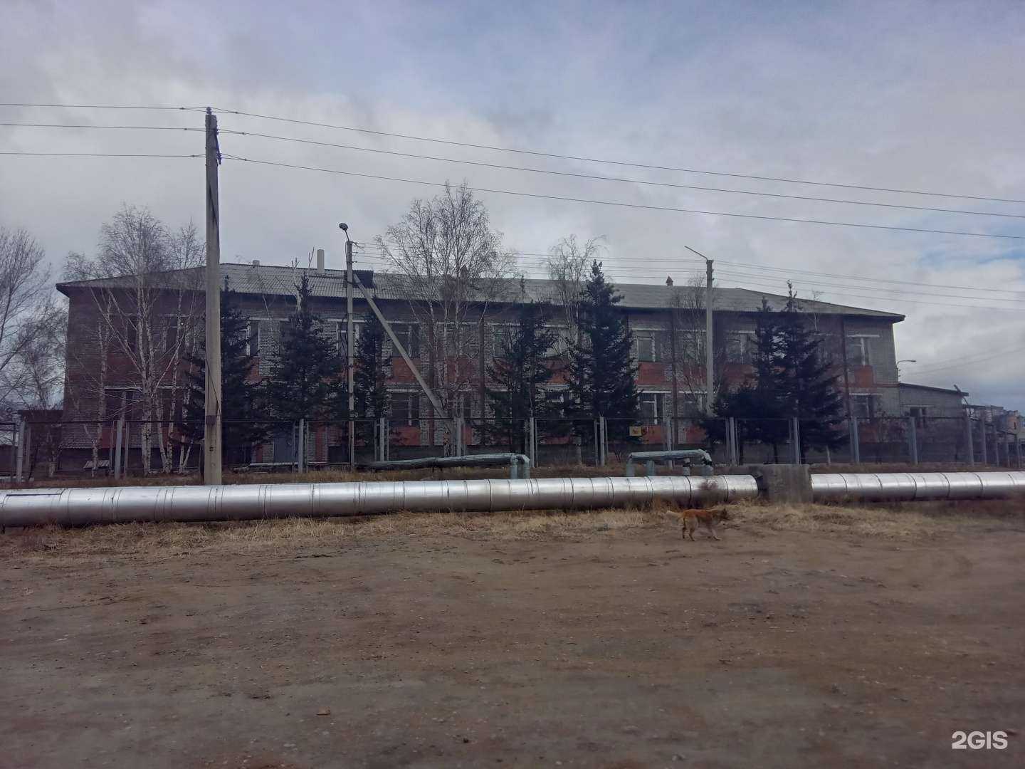 Отзывы на компанию Тоонто в Улан-Удэ c фото